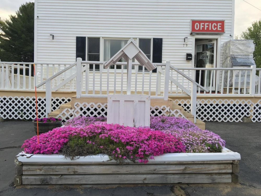 Knotty Pine Motel Main image