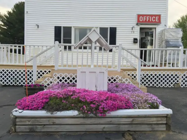 Knotty Pine Motel Main image